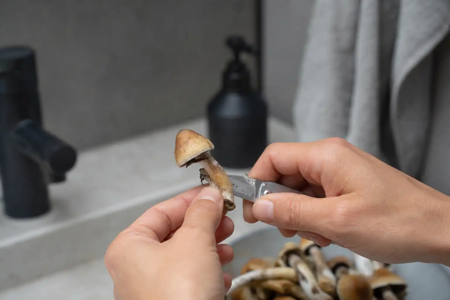 Des mains préparent quelque chose, autour de genre psilocybe kahlkopf, dans une salle de bain.